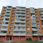 Rent 2 bedroom apartment of 36 m² in Olomouc