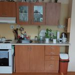Rent 1 bedroom apartment in Svitavy