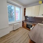 Rent 2 bedroom apartment of 55 m² in Sokolov
