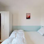 Louez une chambre de 102 m² à Toulouse