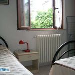 Rent 2 bedroom apartment of 50 m² in San Benedetto del Tronto