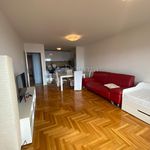 Najam 1 spavaće sobe stan od 54 m² u Primorsko-goranska