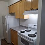 1 bedroom apartment of 516 sq. ft in Ridgetown