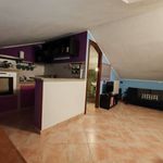 Rent 2 bedroom house of 70 m² in Viterbo