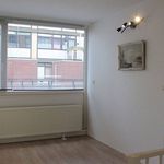 Rent 4 bedroom house of 137 m² in Zoetermeer