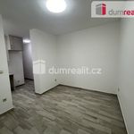Rent 1 bedroom apartment of 19 m² in Mikulov