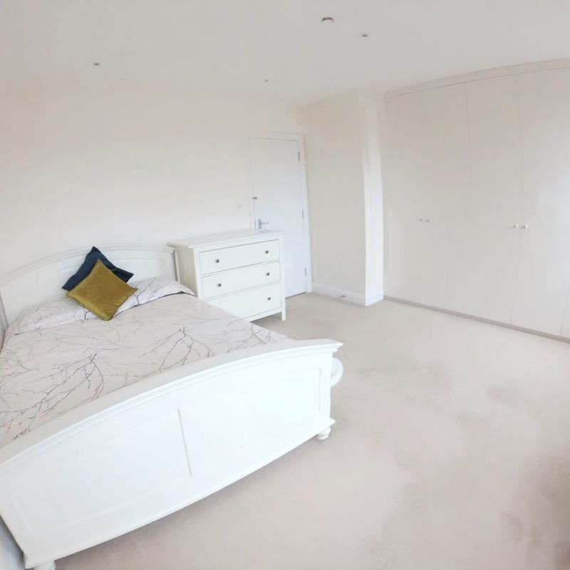 a superb double room in pimlico, sw1v 2ne!