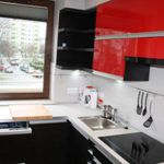 Rent 2 bedroom apartment of 60 m² in Kraków