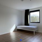 Huur 3 slaapkamer huis van 183 m² in Roeselare