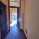 Affitto 3 camera appartamento di 85 m² in Segni