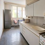 Rent 1 bedroom apartment of 40 m² in Třemošná