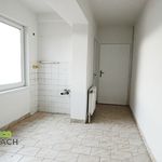 Rent 2 bedroom apartment of 72 m² in Náchod