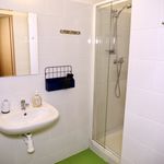 Rent 1 bedroom apartment of 48 m² in Teplice