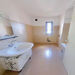 Rent 1 bedroom apartment in BASTIA