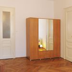 Rent a room of 90 m² in Brno