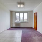 Rent 1 bedroom apartment of 41 m² in Plzeň