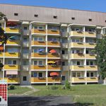 Rent 2 bedroom apartment of 49 m² in Freital