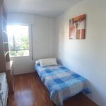 Rent 4 bedroom apartment in Murcia