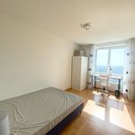 Appartement de 91 m² avec 5 chambre(s) en location à Brest