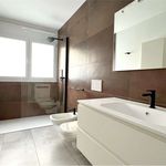 Rent 1 bedroom apartment of 60 m² in Lavizzara