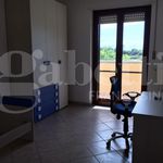 Affitto 1 camera appartamento di 80 m² in Brindisi