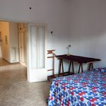 Affitto 5 camera appartamento di 110 m² in Firenze