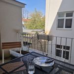 Rent a room of 107 m² in Brno