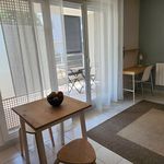 Rent 1 bedroom apartment of 24 m² in avignon