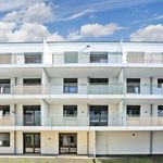 Rent 3 bedroom apartment of 61 m² in Stockerau
