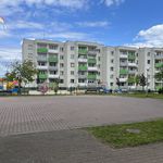 Rent 3 bedroom apartment of 62 m² in Kożuchów