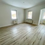 Rent 1 bedroom apartment of 45 m² in Schwarzenberg/Erzgebirge