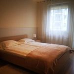 Wynajmij 2 sypialnię apartament z 51 m² w Poznań