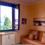 Rent 1 bedroom apartment of 53 m² in Bernate Ticino