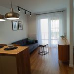 Rent 2 bedroom apartment of 30 m² in Szczecin