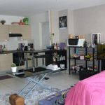 Rent 3 bedroom apartment of 70 m² in Nancy