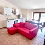 Rent 3 bedroom apartment of 60 m² in Viterbo