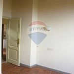 Affitto 5 camera casa di 70 m² in Carmignano