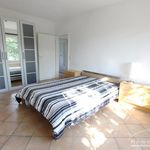 Rent 2 bedroom apartment of 60 m² in Bonn