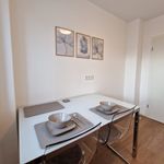 Rent 2 bedroom apartment of 45 m² in Duisburg