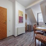 Rent 2 bedroom apartment of 41 m² in Karlovy Vary