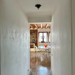 Rent 2 bedroom apartment of 95 m² in Venezia