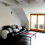 Rent 1 bedroom apartment of 120 m² in Kolín