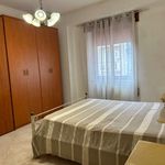 Rent 3 bedroom apartment of 88 m² in Nettuno