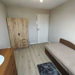 Rent 1 bedroom apartment of 63 m² in Legnica