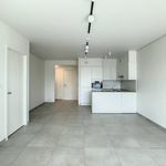 Rent 1 bedroom apartment in Waregem