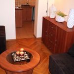 Rent 1 bedroom apartment in Łódź