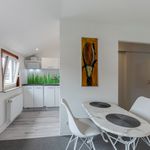 Rent 2 bedroom apartment of 45 m² in Bremen