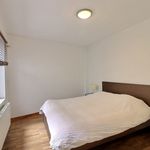 Rent 2 bedroom apartment of 115 m² in Hasselt