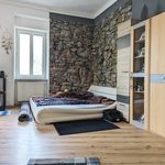 Miete 1 Schlafzimmer wohnung von 43 m² in Graz