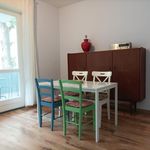 Rent 1 bedroom apartment in Berlin